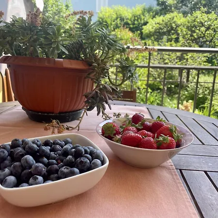 Con Vista Giardino E Piscina Borgofranco d'Ivrea