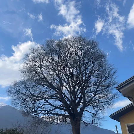 Bed & Breakfast L'albero Maestro