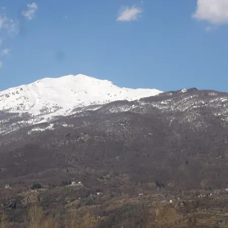L'albero Maestro 4*