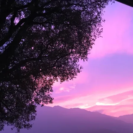 L'albero Maestro 4* Borgofranco d'Ivrea