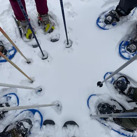 Bed & Breakfast L'albero Maestro