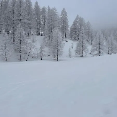 L'albero Maestro Bed and Breakfast Borgofranco d'Ivrea