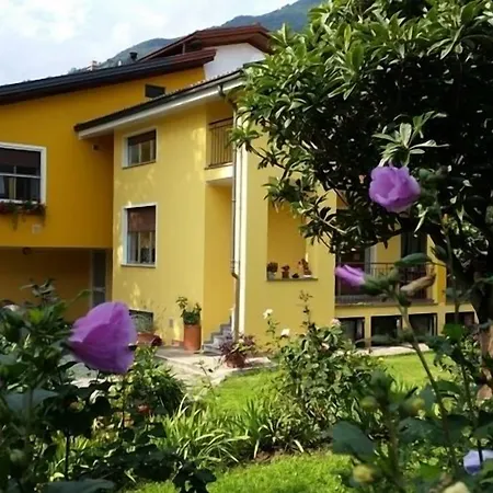 L'albero Maestro Borgofranco d'Ivrea