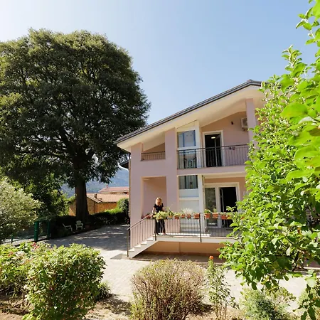 L'albero Maestro Bed & Breakfast