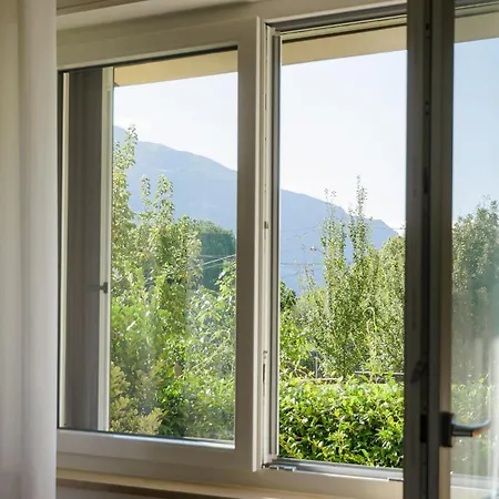 L'albero Maestro Borgofranco d'Ivrea