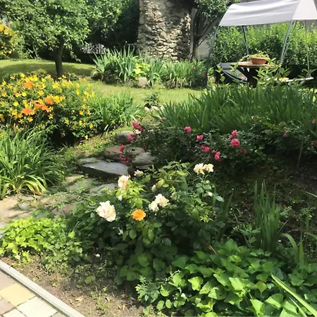 Bed & Breakfast L'albero Maestro