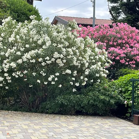 Bed & Breakfast L'albero Maestro Borgofranco d'Ivrea