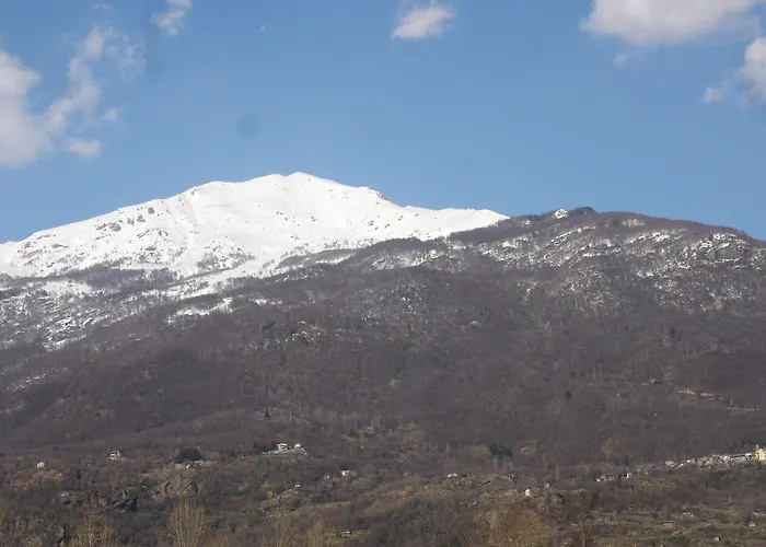L'albero Maestro 4*