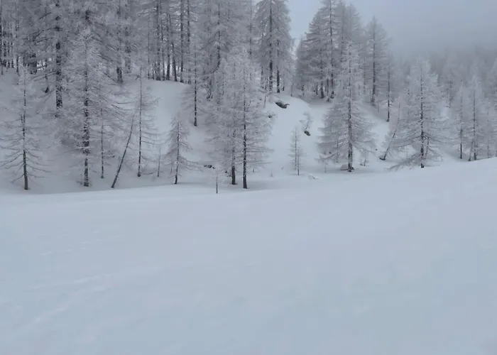 L'albero Maestro Panzió Borgofranco d'Ivrea