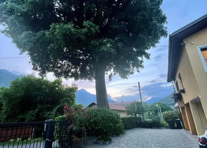 L'albero Maestro Panzió Borgofranco d'Ivrea